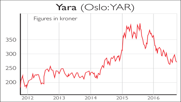 813-Yara-634