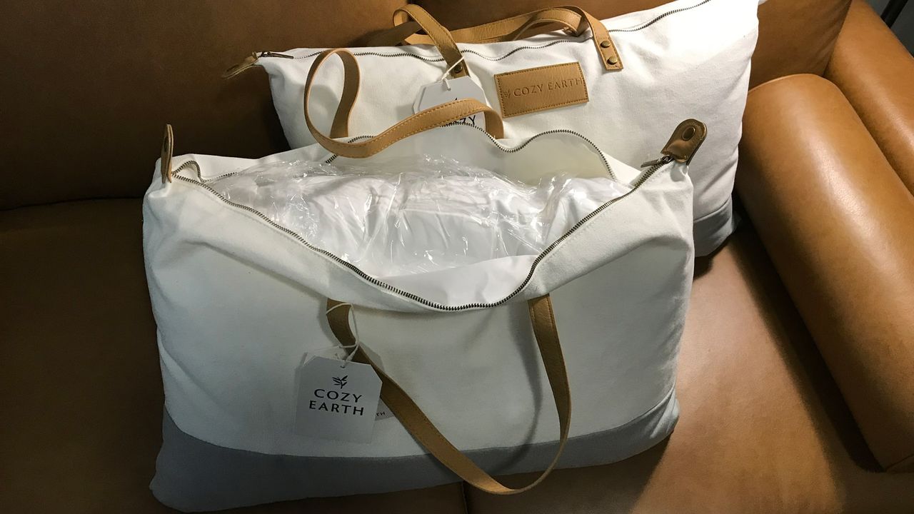 Cozy Earth Silk Pillows in their carry bags