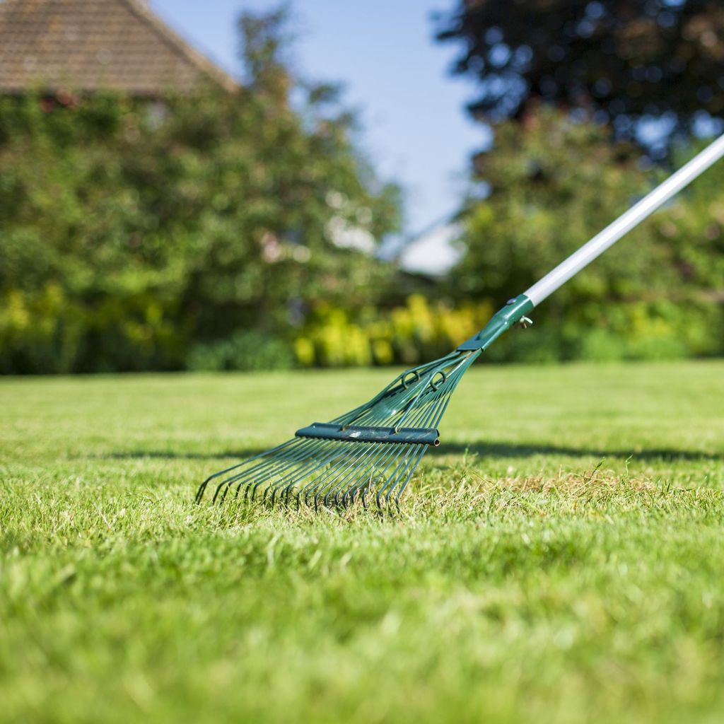 Should you leave grass clippings on a lawn? Ideal Home
