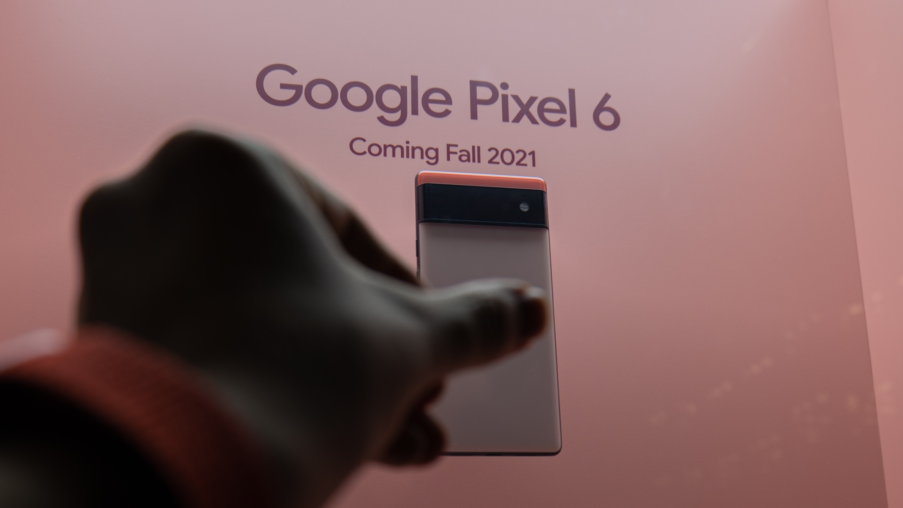 Google Pixel 6 phones on display
