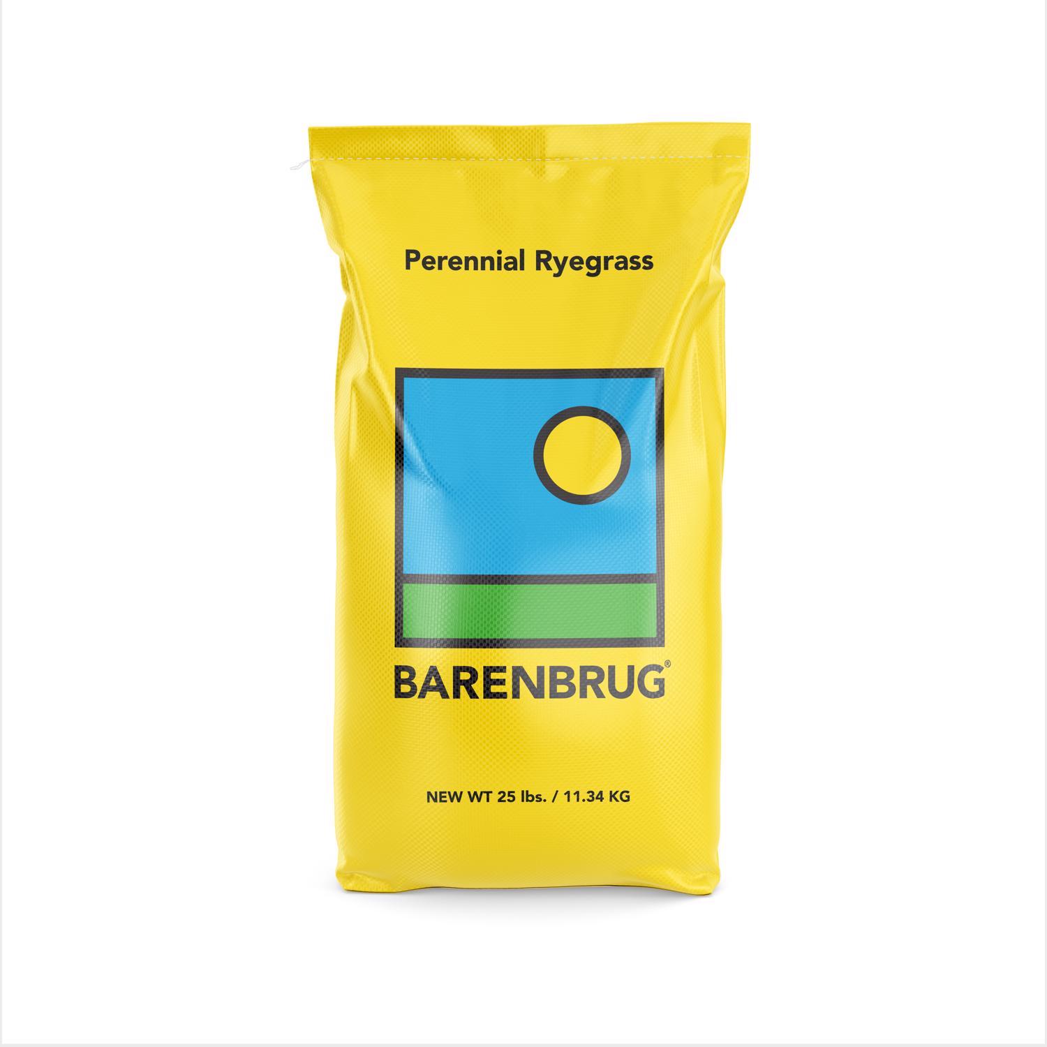 Barenbrug Perennial Ryegrass Full Sun Grass Seed 25 Lb