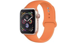 Apple Watch bands Apple Sport Band