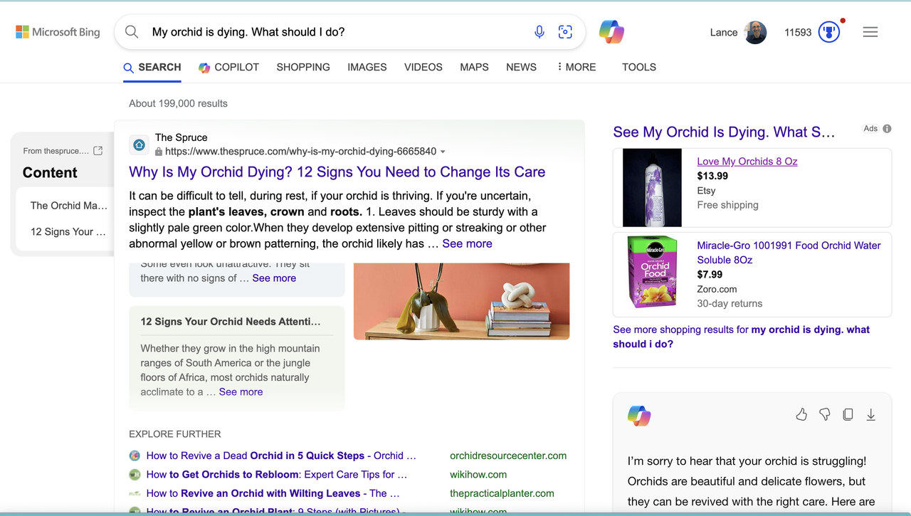 Bing vs Google