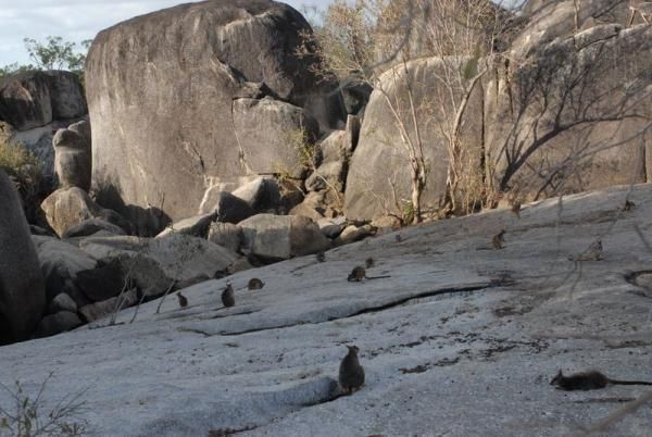 The locals come out to say high to the Crocodile Trophy competitors