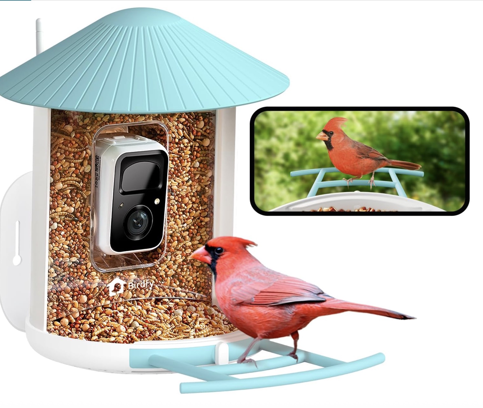 Birdfy hummingbird feeder camera