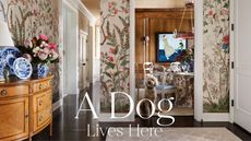 A white labradoodle stood in the doorway of a wood panelled dining room