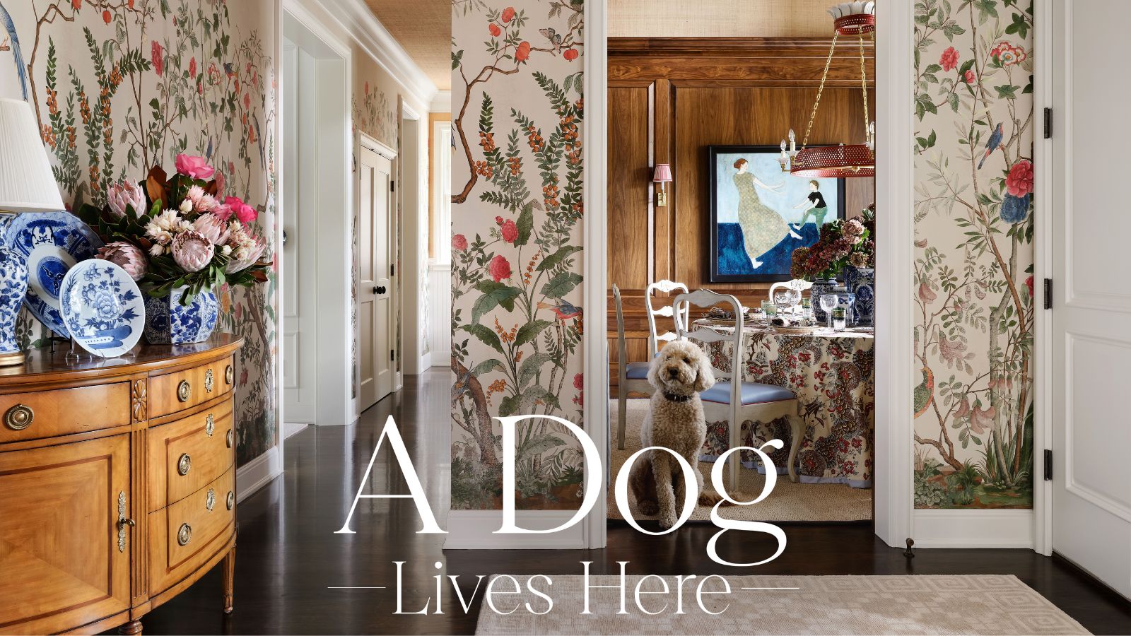 A white labradoodle stood in the doorway of a wood panelled dining room