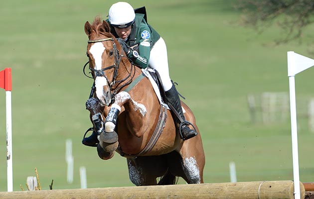 HorseNo102_Belton16pn_1222-1.jpg