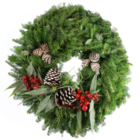 Real Fresh Cut 24" Bayberry Frosted Wreath | Currently $44.99