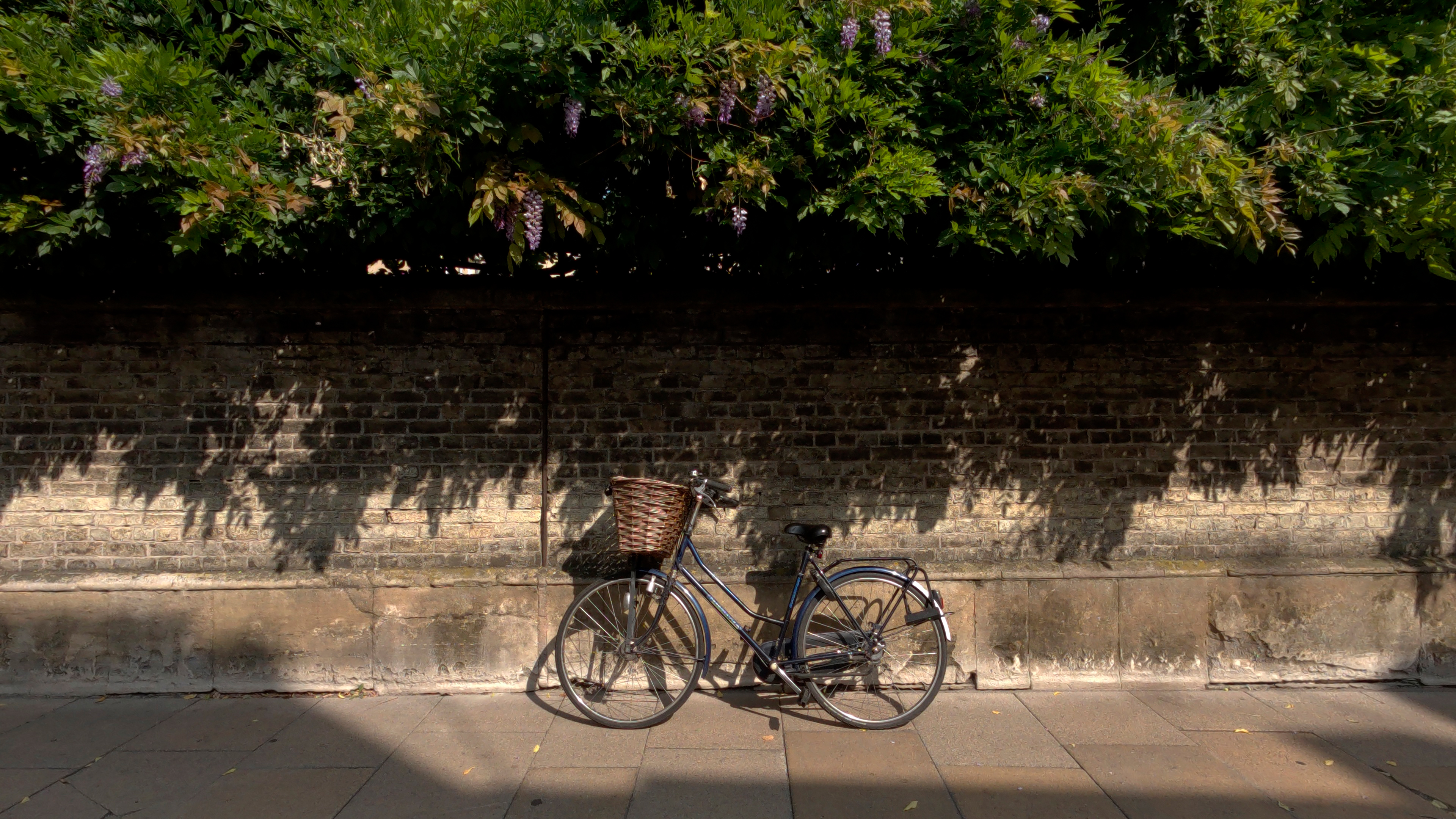 Photo of of a bike taken with the QooCam 3 Ultra