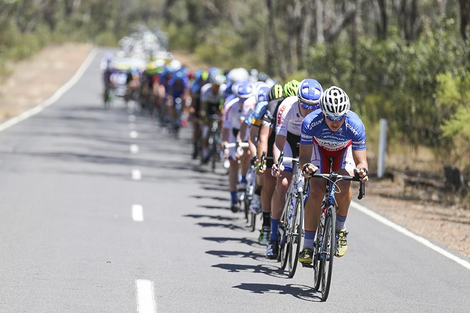 The peloton spread out on the road to Nagambie