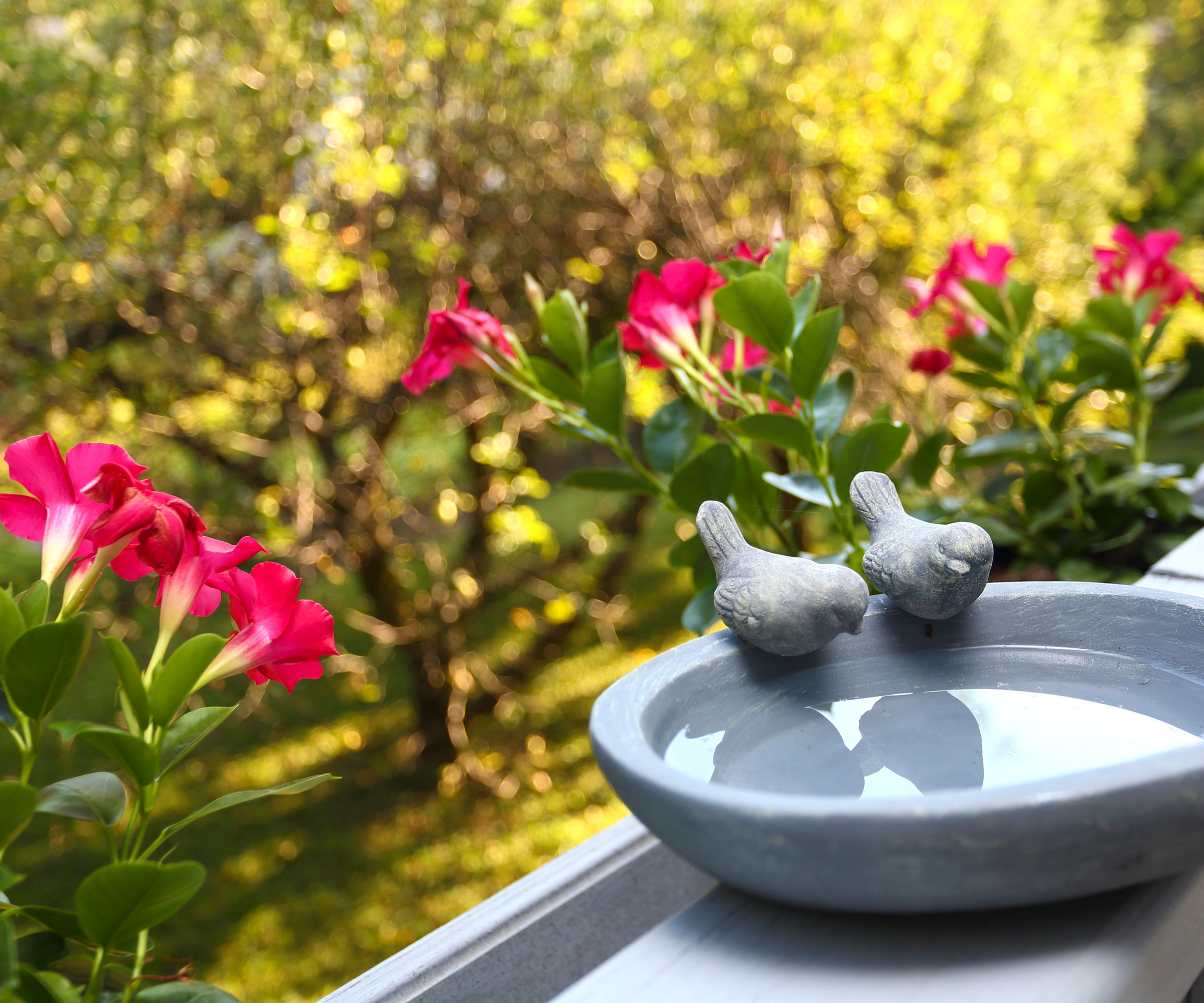 ceramic bird bath with carved bird detail near red flowers