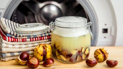 Conker laundry detergent in a pot next to conkers and clean washing