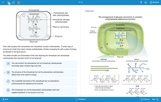 UWorld College Readiness