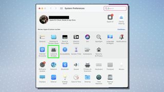 A screen from macOS showing the System Preferences