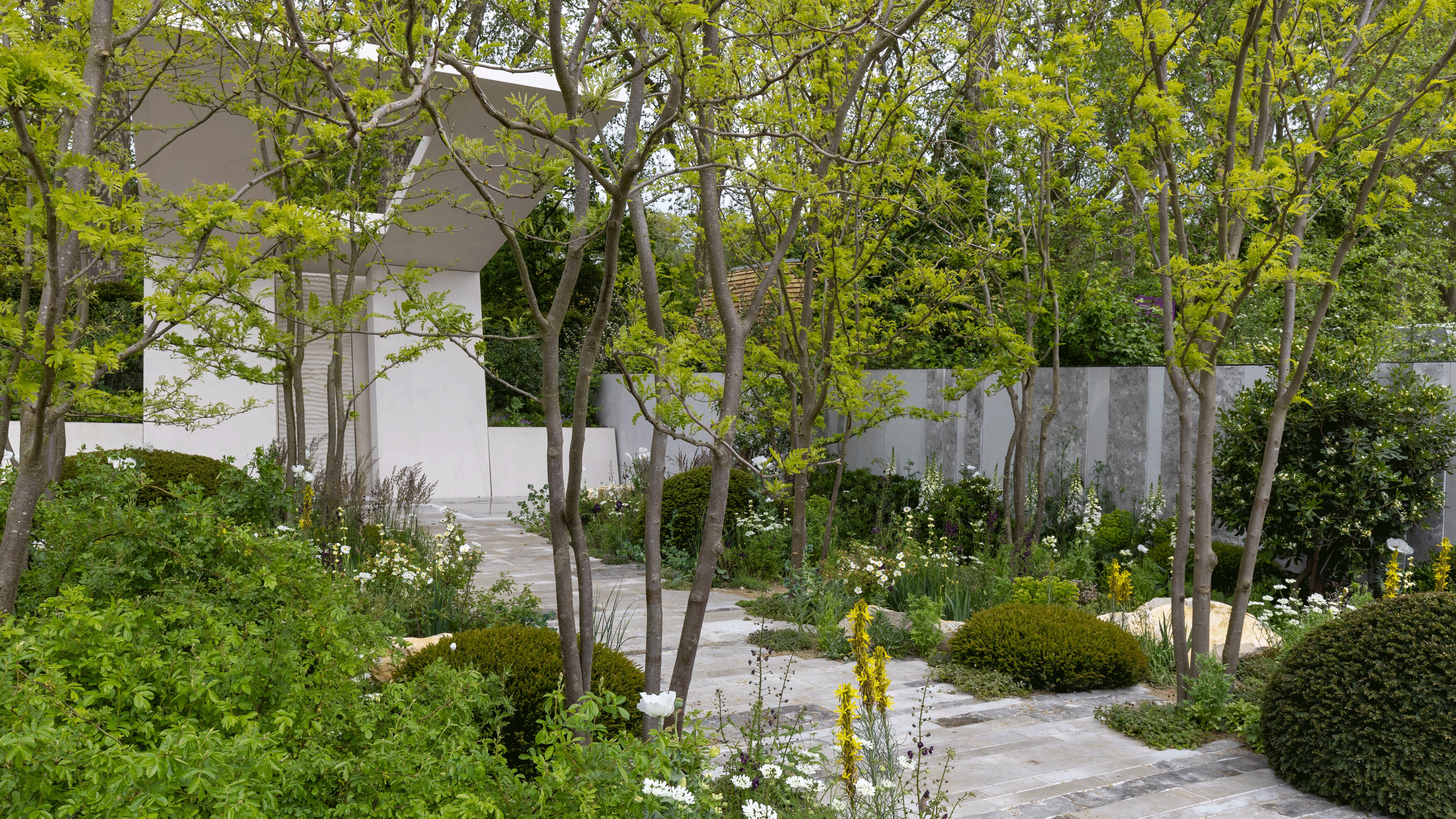 Garden with large white structure and pavement