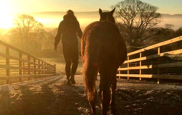 Carrie Bosworth sent us this frosty snap from White Hill Stud