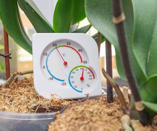 Houseplant moisture meter and thermometer