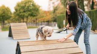 Woman training dog