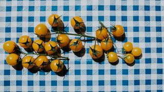 Bunch of yellow tomatoes sitting on tablecloth