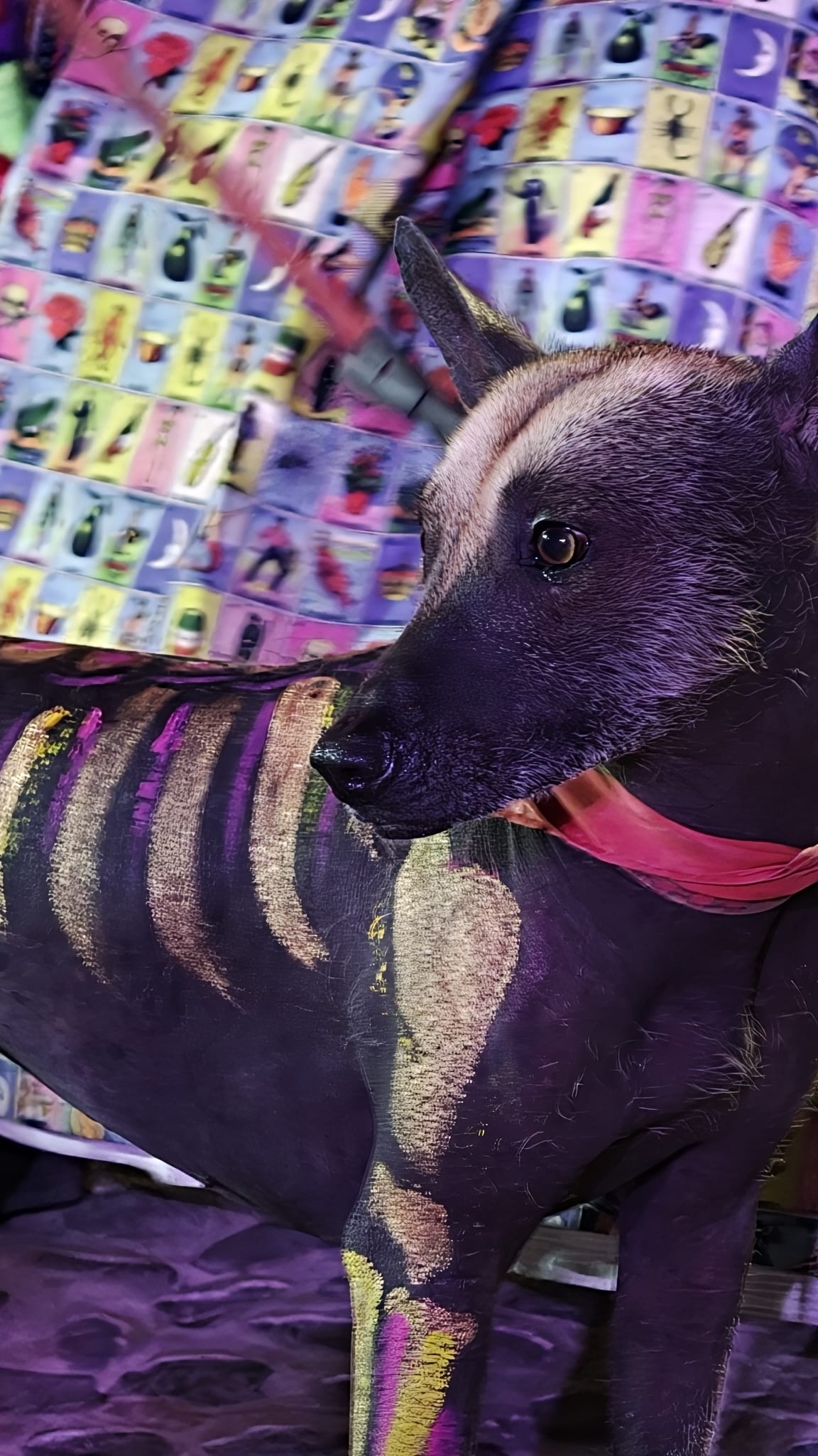 Oppo Find X9 Pro camera review sample image