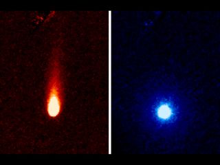 These images from NASA's Spitzer Space Telescope of Comet ISON were taken on June 13, 2013, when ISON was 312 million miles (502 million kilometers) from the sun. The lefthand image shows a tail of fine rocky dust issuing from the comet, blown back by the pressure of sunlight. The image at right shows a neutral gas atmosphere surrounding ISON, likely created by carbon dioxide fizzing off the comet at a rate of 2.2 million pounds per day.