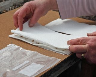 Folding paper towel with seeds, ready to add to ziploc bag