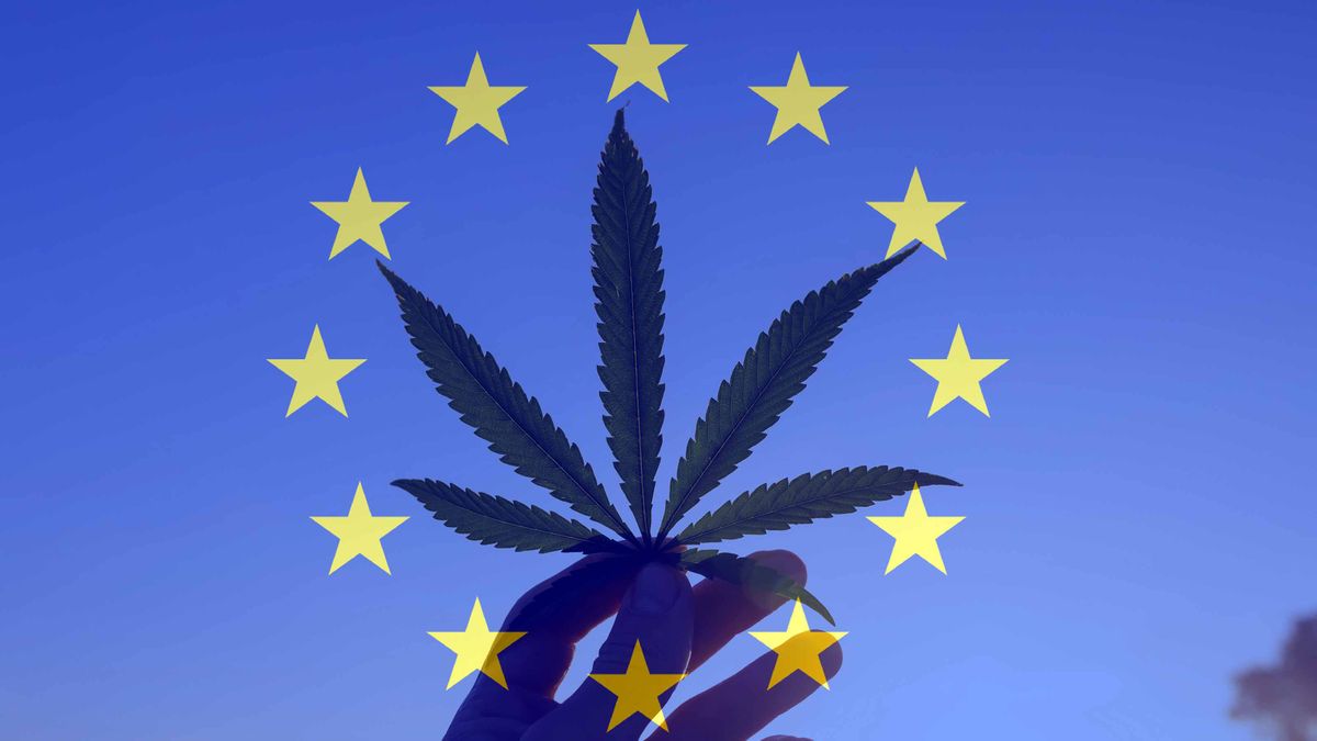 This Week in Cannabis Investing: Weed Legalization in Germany Could Trigger Chan..