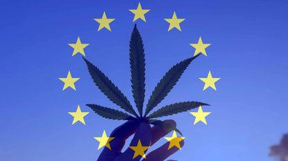 EU flag superimposed over marijuana leaf