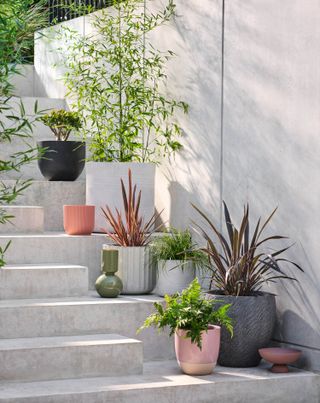 low maintenance garden ideas: container planting on steps