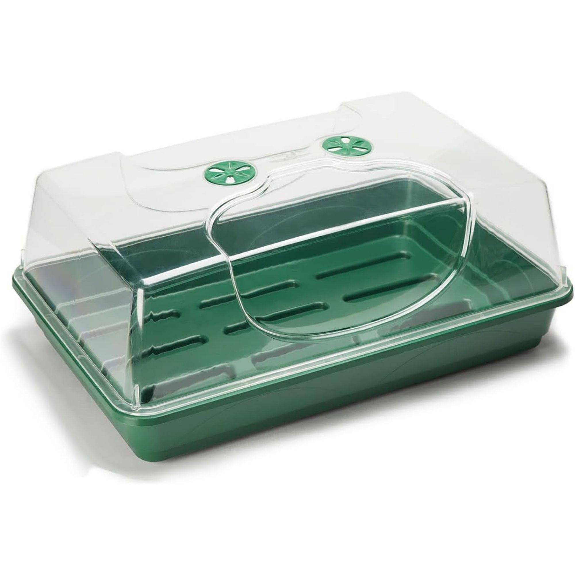 EarlyGrow MPL50030P Large Propagator with Shatterproof Lid