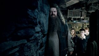 How to watch the Harry Potter movies in order online - Order of the Phoenix