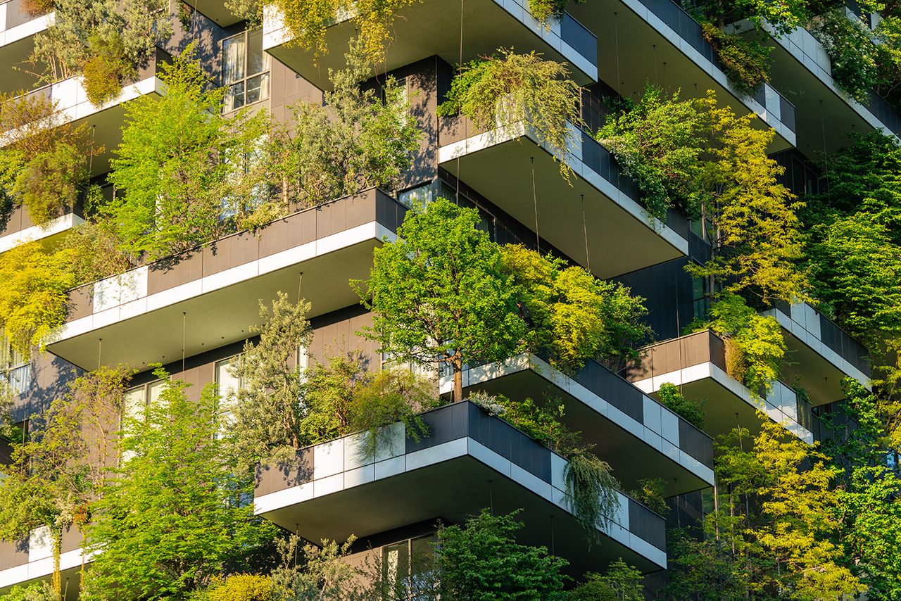 What is biophilic architecture? Our guide explains all