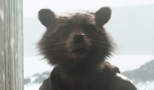 Rocket in Avengers Endgame