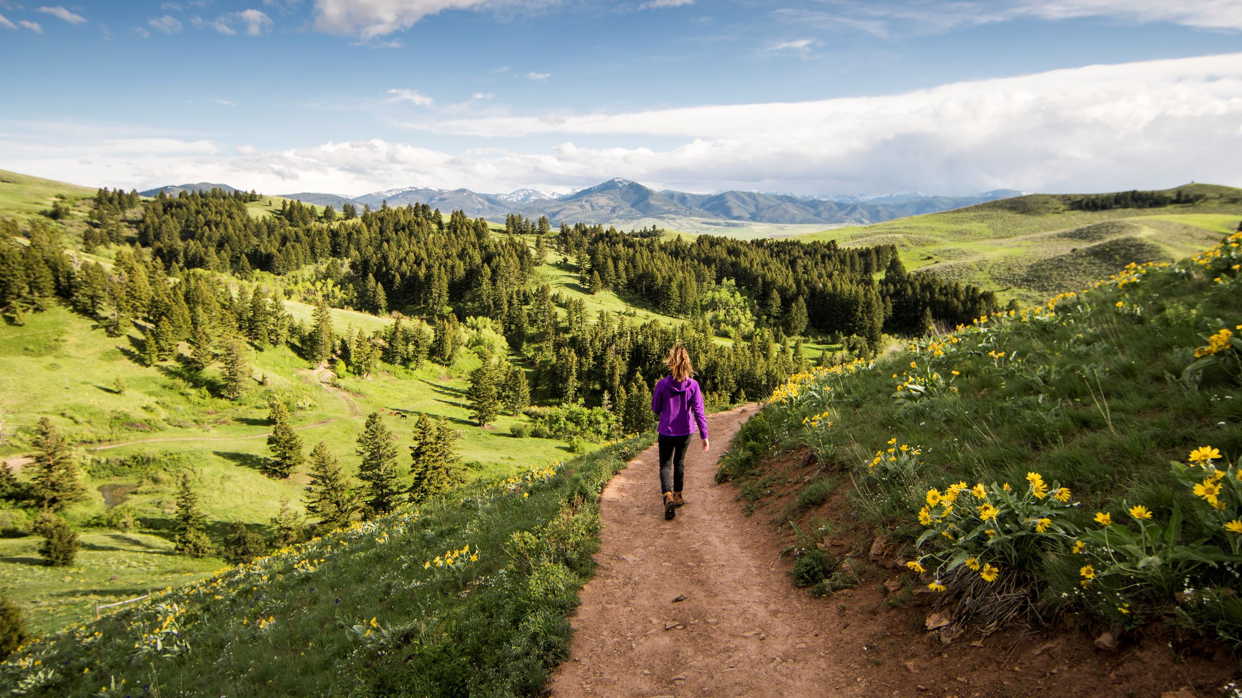 Out-and-back vs loop hiking trails: is one better than the other ...