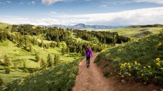 A woman enjoying a day hike on a summer day in Montana