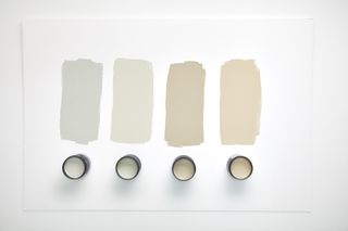 Examples of four shades of grey paint with different undertones