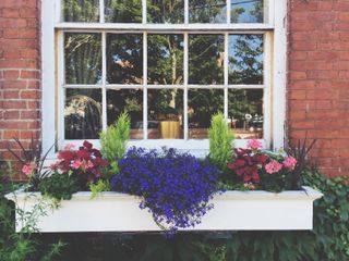 window box ideas: long white planter with flowers