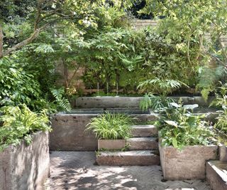 Shade courtyard garden with ferns and water features