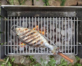 gilthead seabream in fish basket on charcoal barbecue