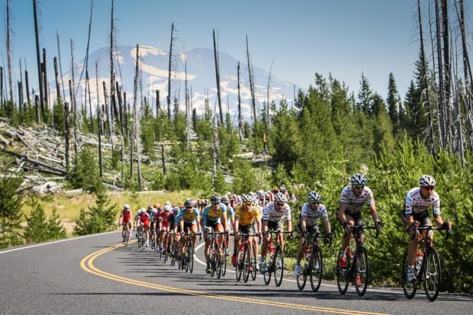 Jelly Belly leads the group away from Mt. Bachelor.