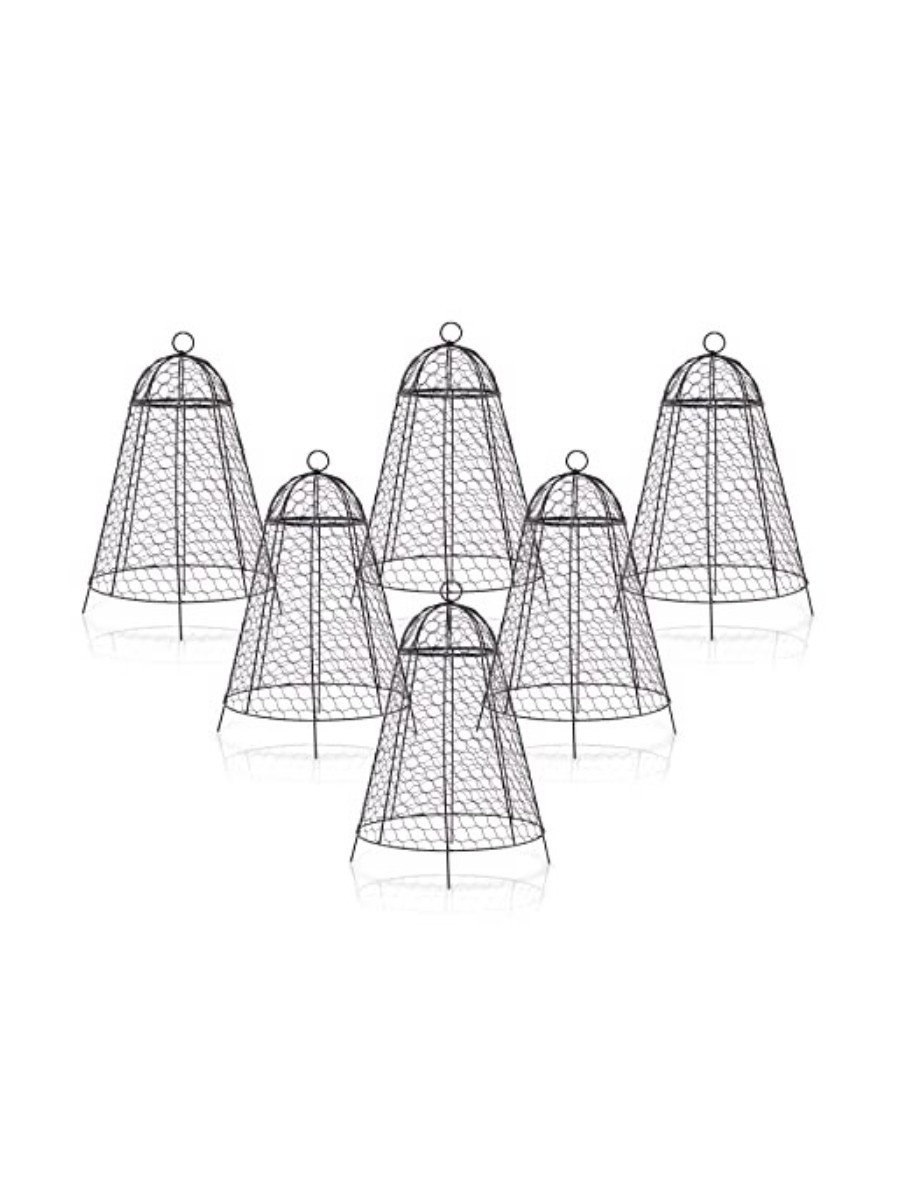 boldworks, &amp;nbsp;Garden Cloches