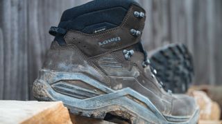 Lowa Renegade Evo GTX review