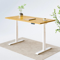 Flexispot E8 Standing Desk: $589.99
