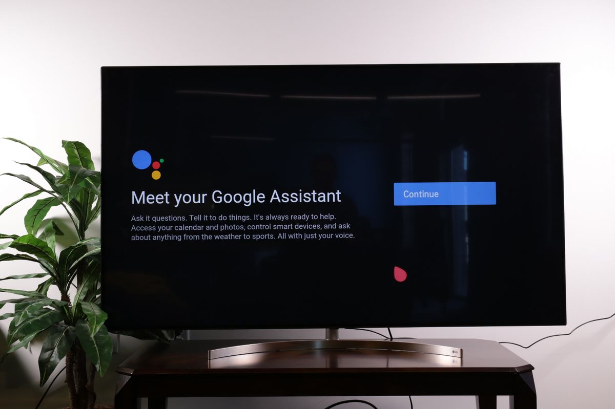 lg tv connect google home