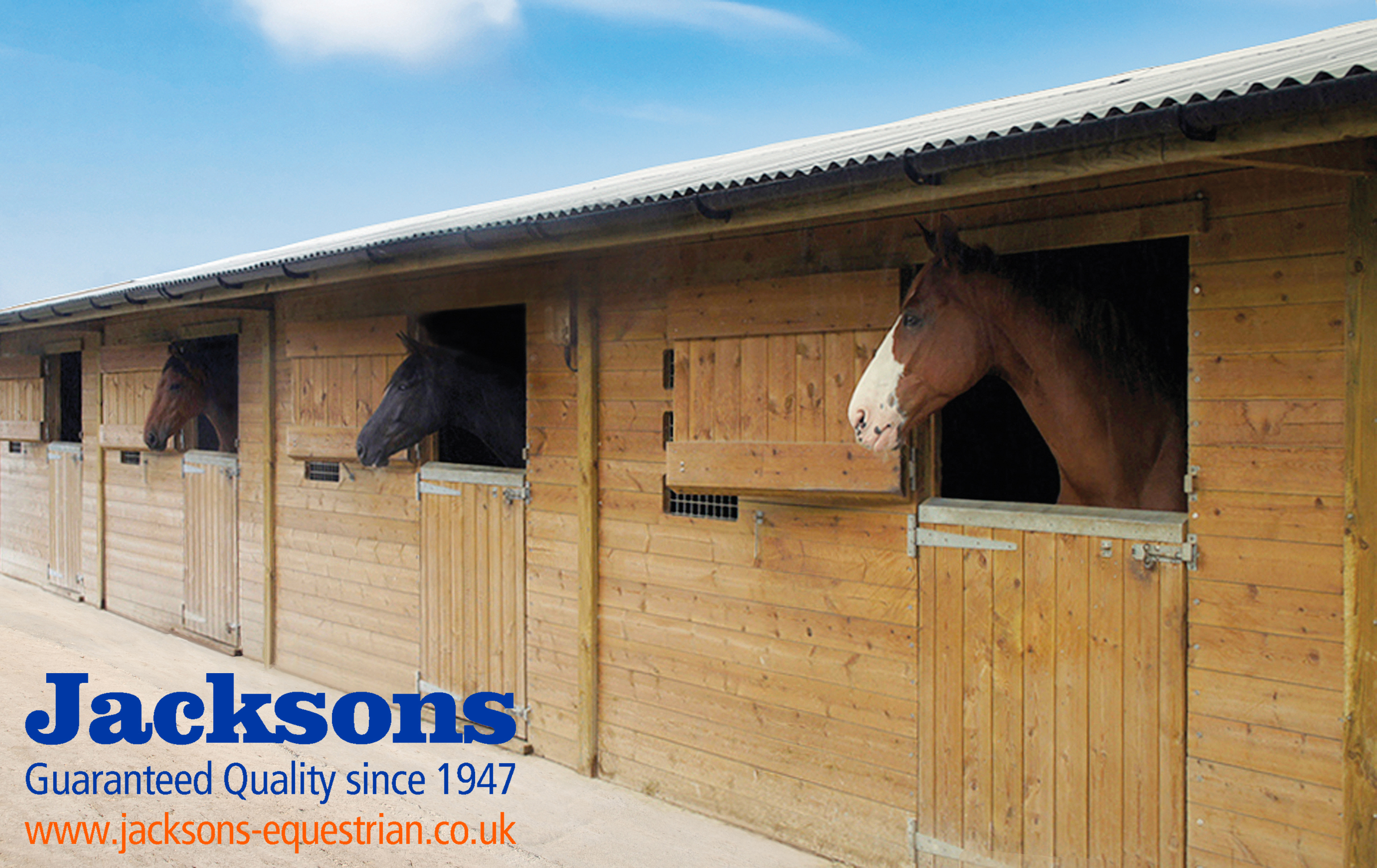 Jacksons-Equestrian1.jpg
