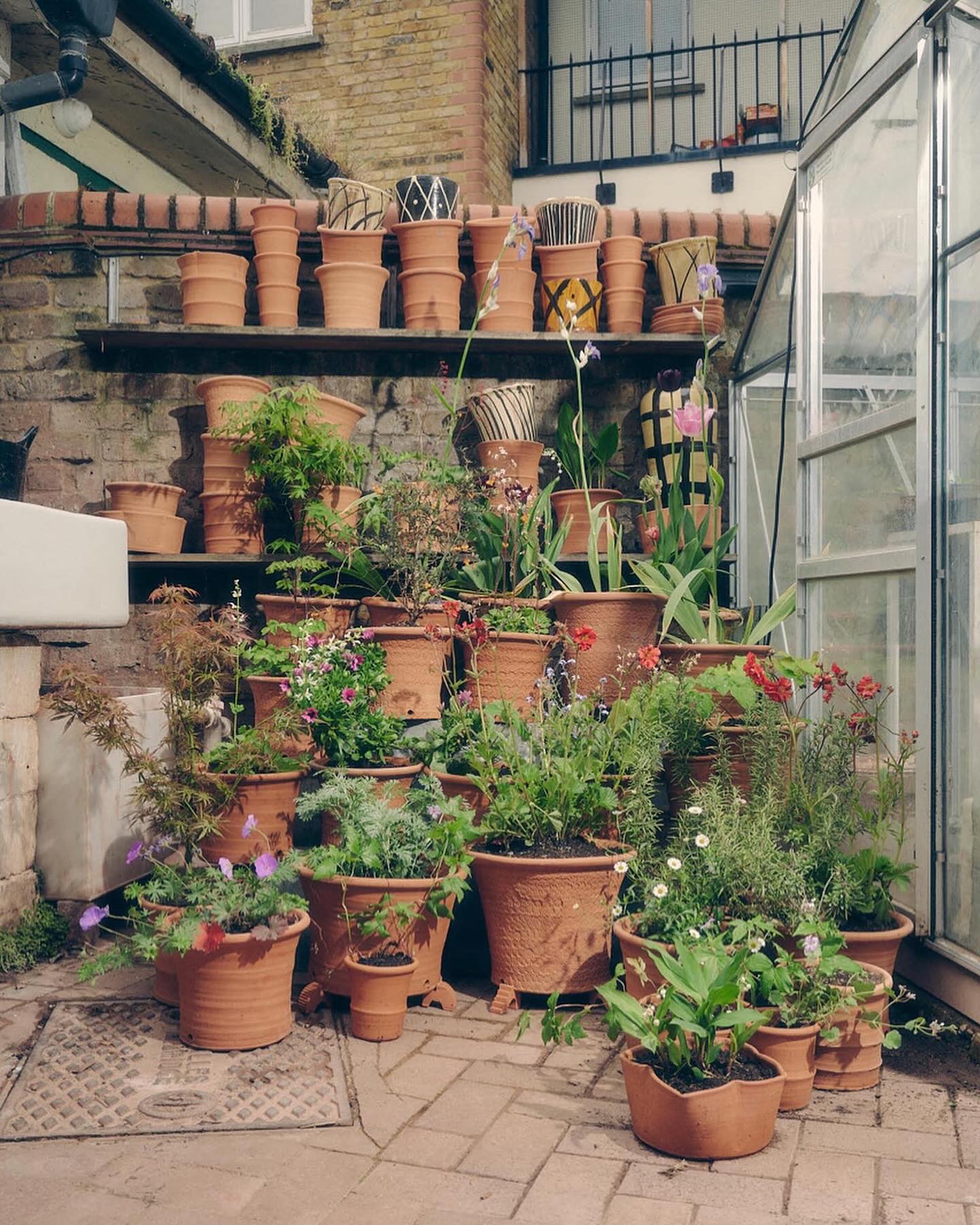 hoxton gardenware terracotta planters new in homeware