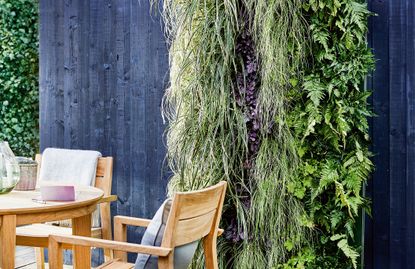 Living walls: an outdoor space with a DIY living wall up a black painted fence and an outdoor dining set