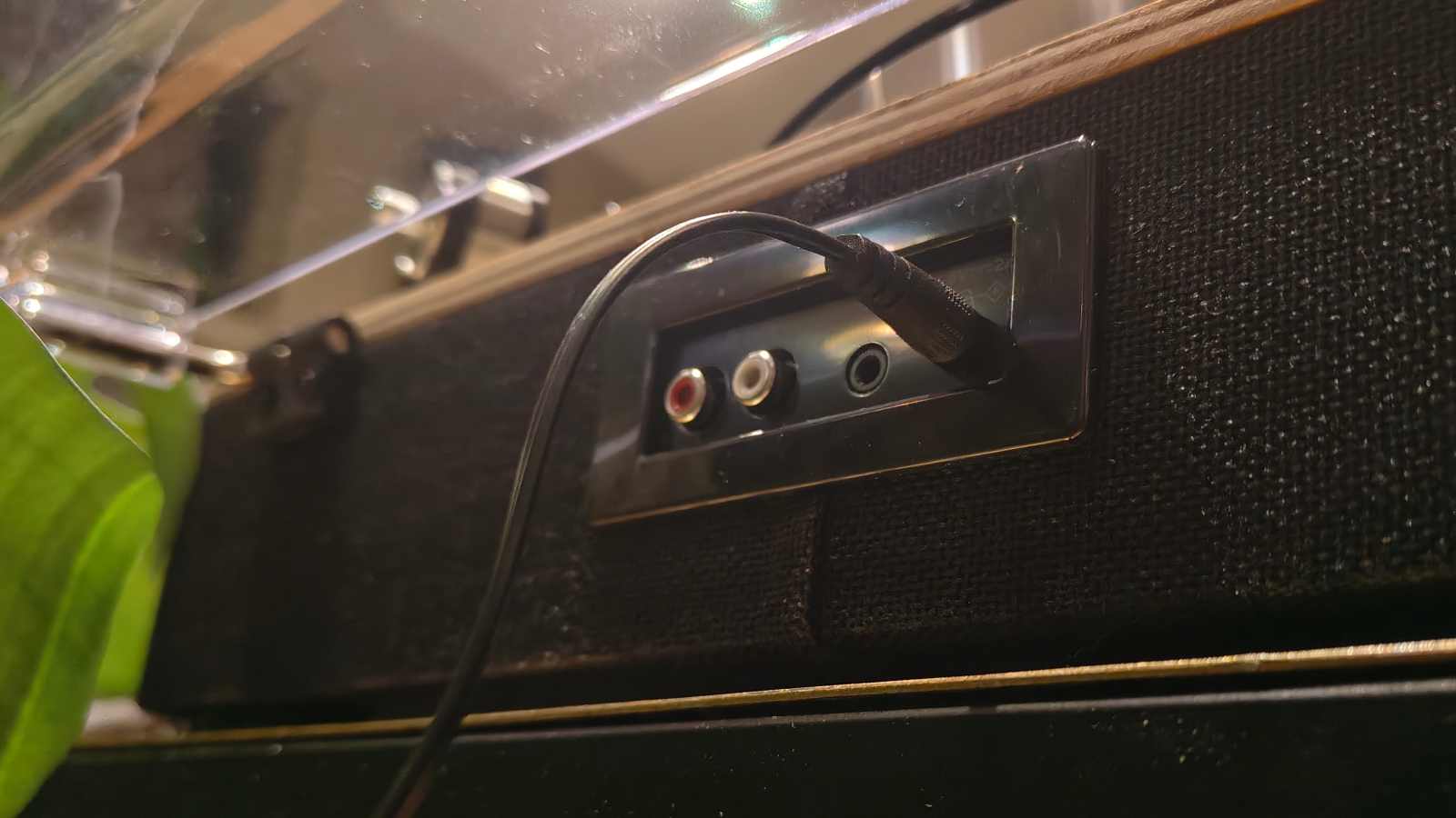 The Majority Folio on a bronze table with plants in the background.
