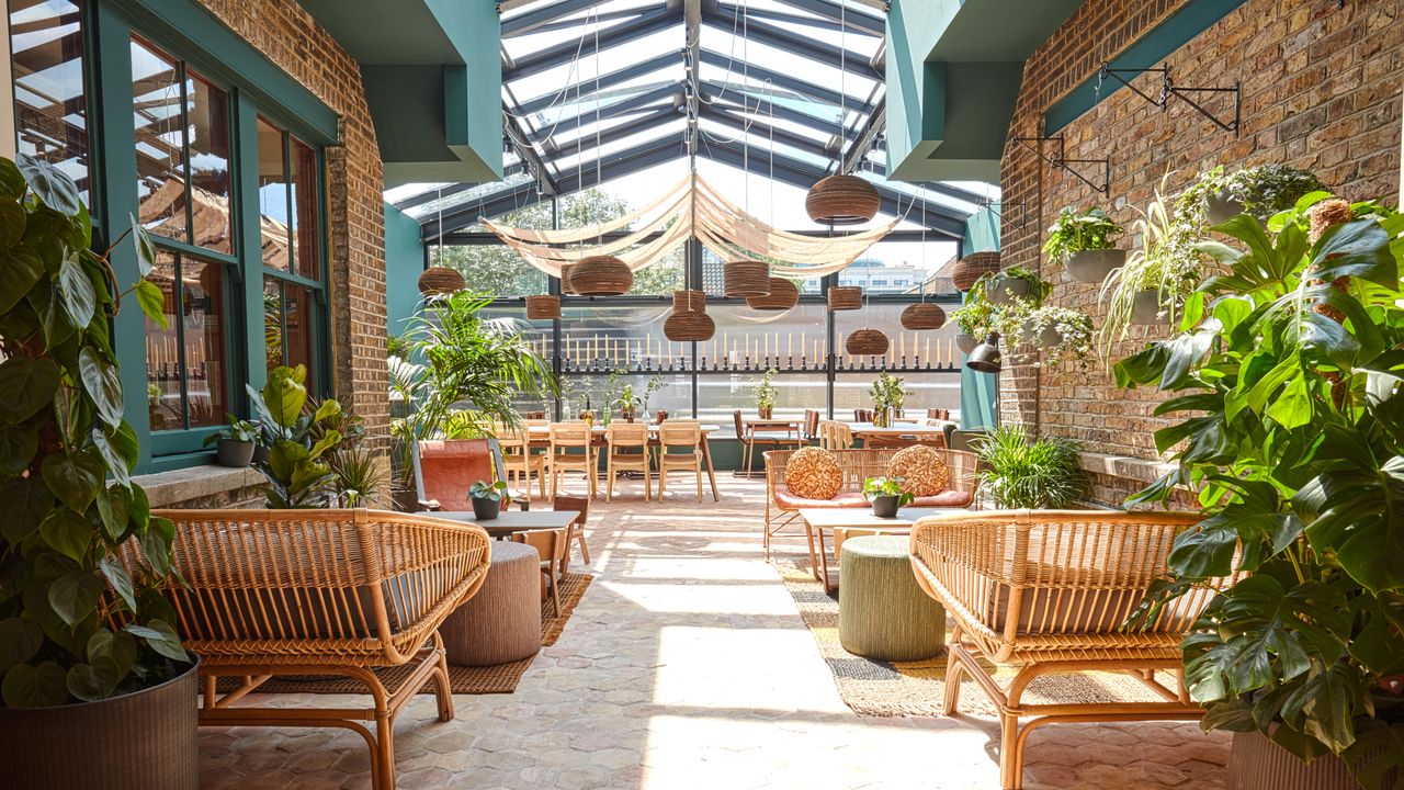 b_together lounge with plants and rattan chairs